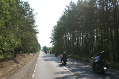 SONY DSC
